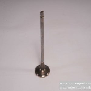 5273748 Intake valve C5273748 Cummins