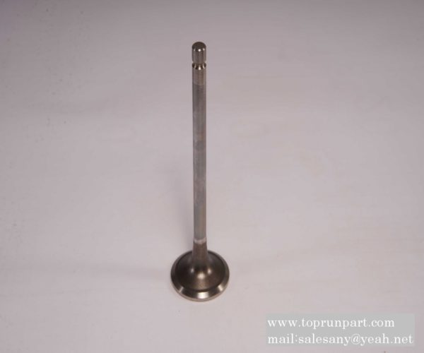 5273748 Intake valve C5273748  Cummins