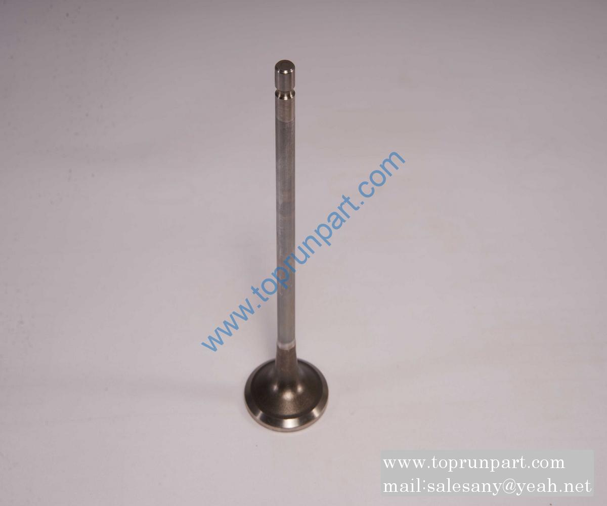 5273748 Intake valve C5273748 Cummins