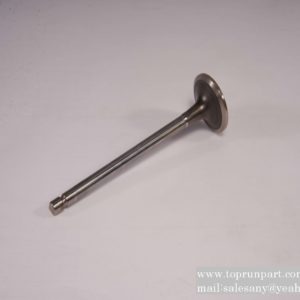 60286224 Intake valve SANY