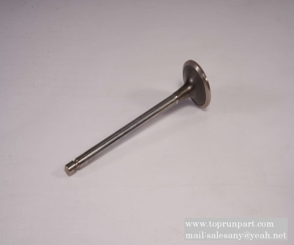 60286224 Intake valve SANY