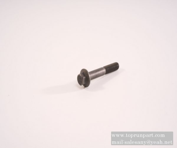 60314257 Hexagon socket bolt SANY