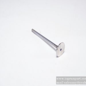 60314274 intake valve SANY