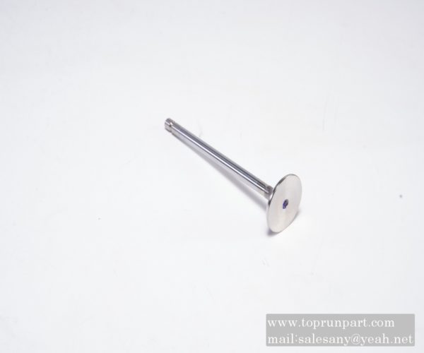 60314274 intake valve SANY