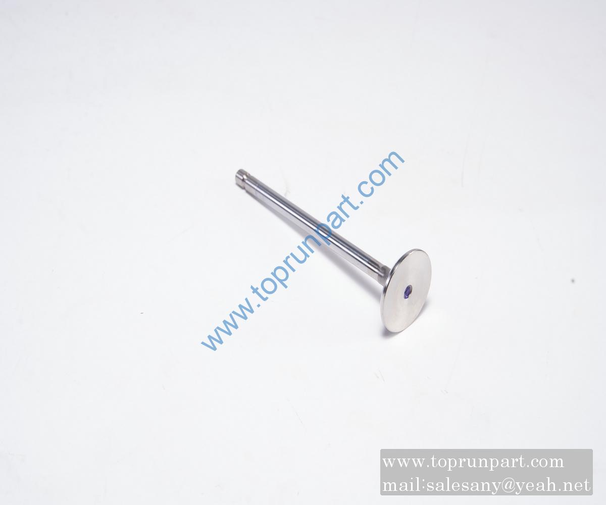 60314274 intake valve SANY