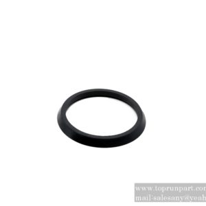 3918113 Sealing ring C3918113