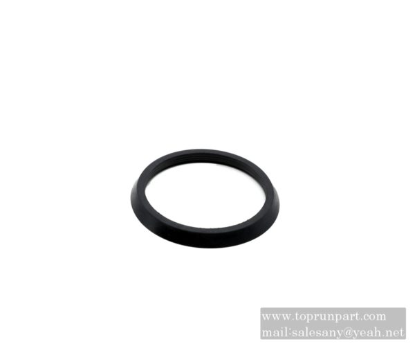 3918113 Sealing ring C3918113