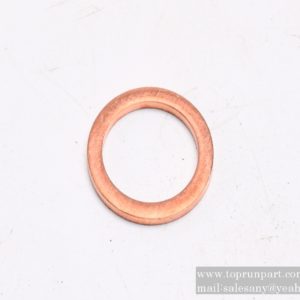 60314436 Sealing gasket Q72318T5F