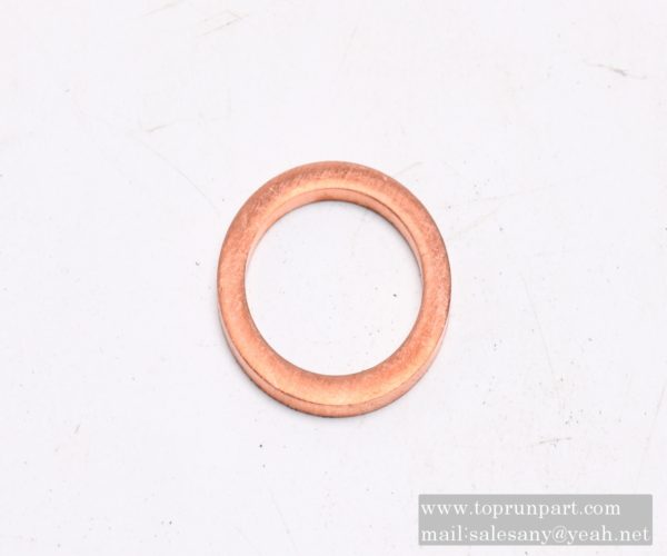 60314436 Sealing gasket Q72318T5F