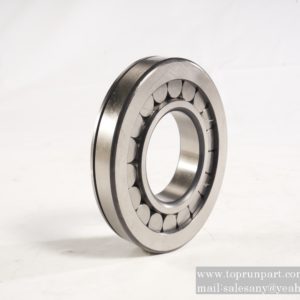 Roller bearing DZ90129320074
