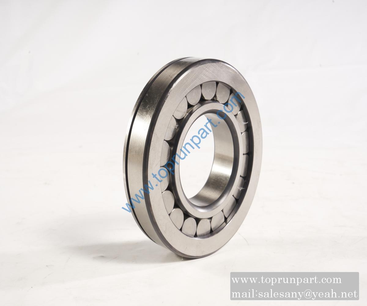 Roller bearing DZ90129320074