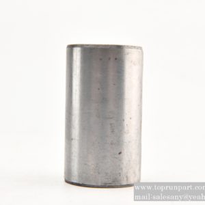 Bushing DZ95009440001