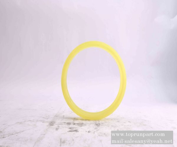 A820606030048 sealing ring C12037.3.1-3 SANY