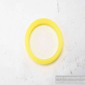 A820606030049 sealing ring C12037.3.2.4A-2 SANY