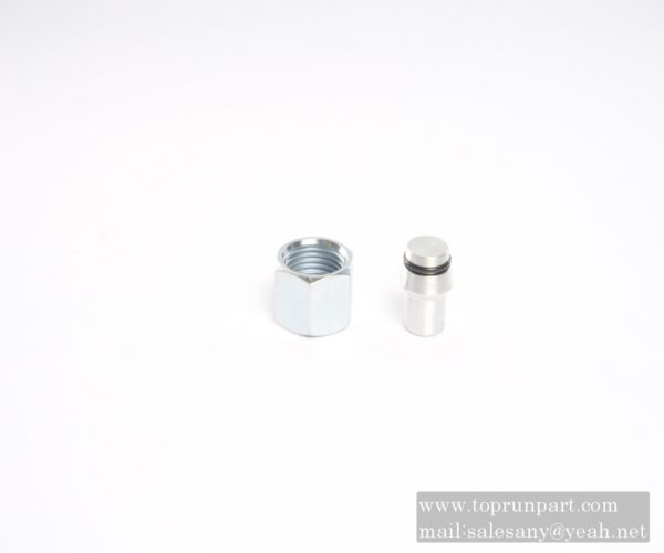 B210780000088 Plug VKA12A3C SANY