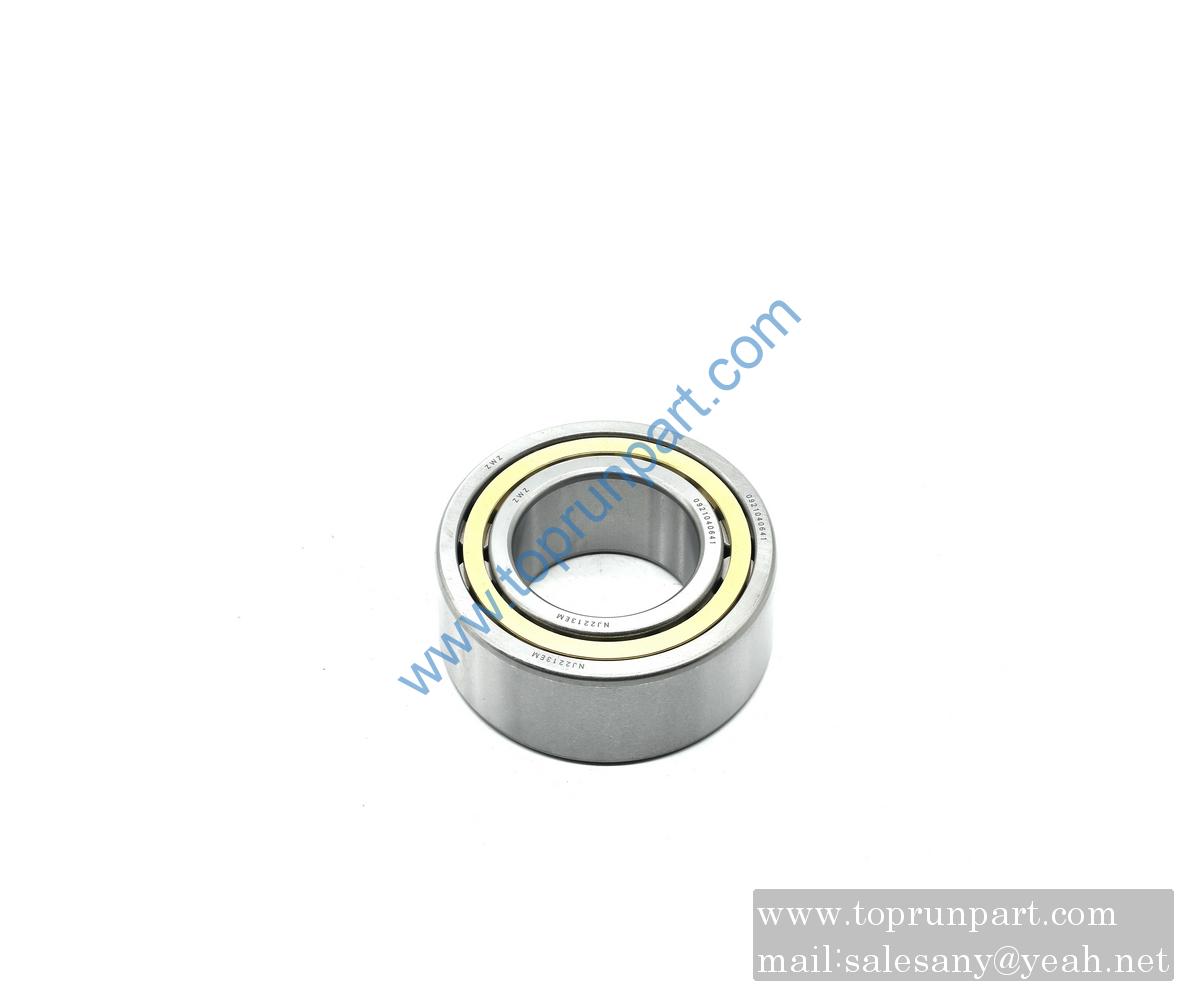 B221500000196 Rolling bearing NJ2213GB283 NSK SANY