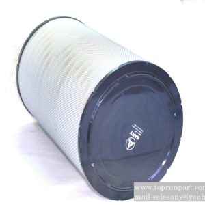 Air filter P781098