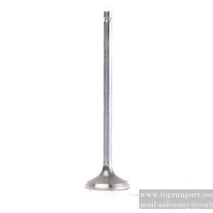 exhaust valve 3920868