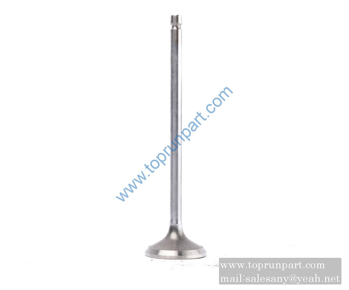 exhaust valve 3920868