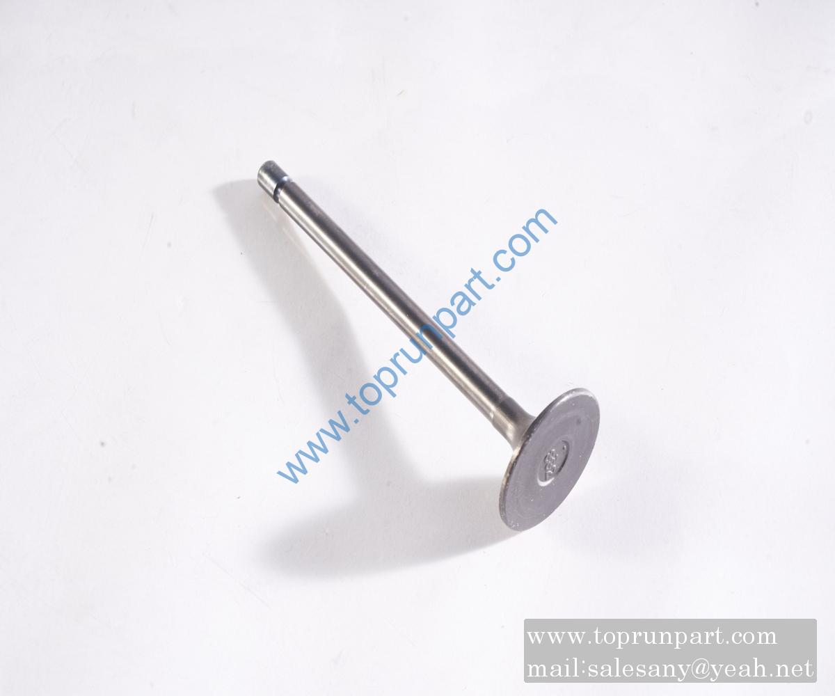 B229900004349 B229900004349K Intake valve SANY