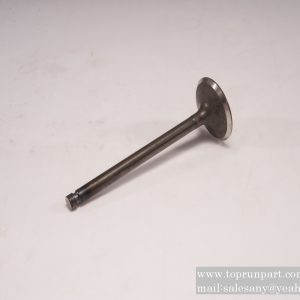 B229900004350 intake valve SANY