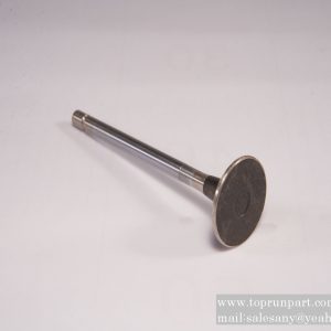 8972098762 Exhaust Valve 897209-8762 8-97209876-2