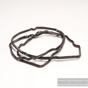 B229900004560 Seal Ring SANY