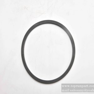 B230101000034 Sealing ring 180×159×8 SANY