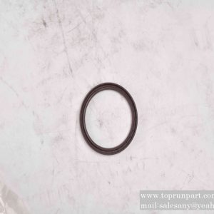 B230101000720 Oil Seal A100×120×12 DIN3760-FPM SANY