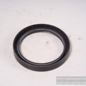 B230101001273 Sealing ring CRW1100×125×12 SANY
