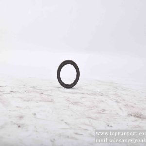 B230101001713 O-ring 519021 SAUER SANY