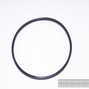 B230101001819 Sealing ring 158.12×5.33 SANY