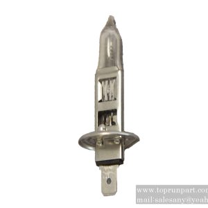 B241100000231 Light bulb 8GH 002 089-251 SANY