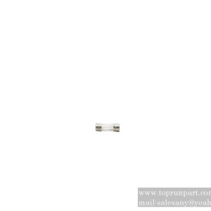 B241300000055 LBC Fuse 5×20FSF/2A SANY