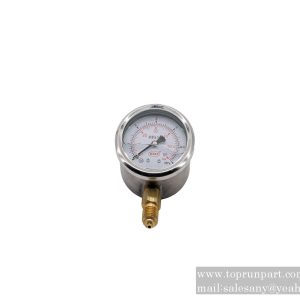 B250100000130 Pressure gauge HM63-60-R-G1/4-FF SANY