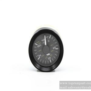 B250202000031 Pressure gauge 0.6895-DC24V-O-IP20 SANY