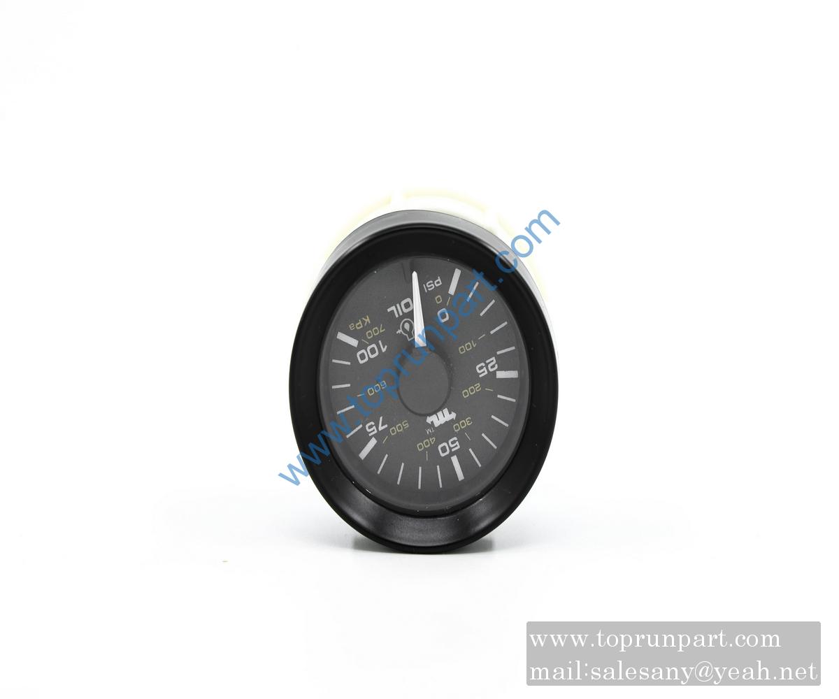 B250202000031 Pressure gauge 0.6895-DC24V-O-IP20 SANY
