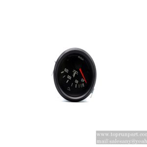 B250204000012 Thermometer 1181800 SANY