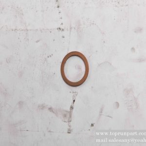 B290000000054 Gasket 1118718 SANY