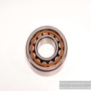 60008740 Bearing PNJ307EVV SANY