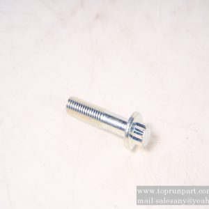 60009001 Bolt 894399-5550 SANY