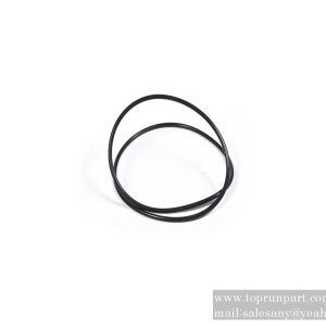 60011163 O-ring 295×5 SANY