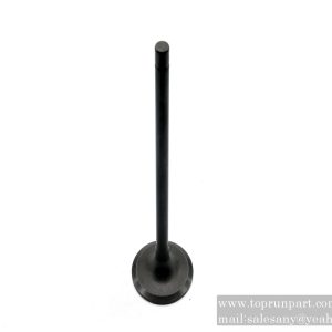 60013161 Intake valve 137111790A SANY excavator part