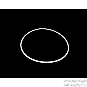 11098196 Retaining Ring DQ250-7 SANY PARTS