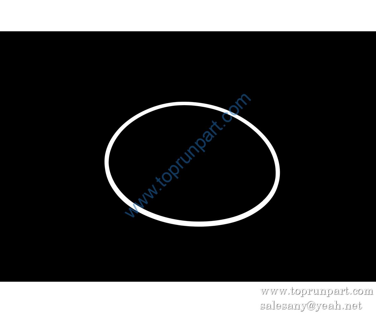 11098196 Retaining Ring DQ250-7 SANY PARTS