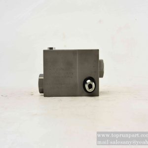 A810201020340 Pilot-Operated Check Valve Group C12037.6.1.35  SANY PARTS