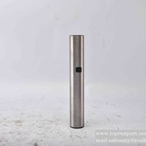 60017576 King Pin 3001021TSLA