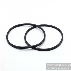 60018184 Star Seal Ring 139.07x 5.33