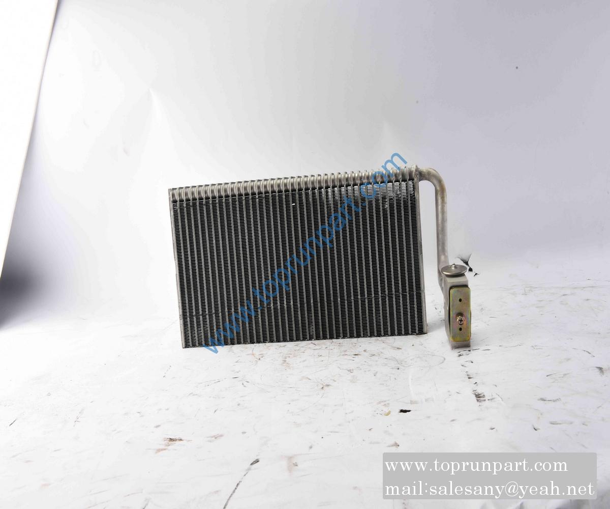 60023022 Evaporator STE002 Steyr