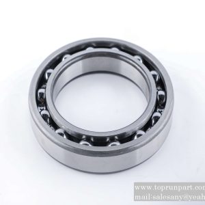 60023123 Rolling Bearing 6021-LSGB276